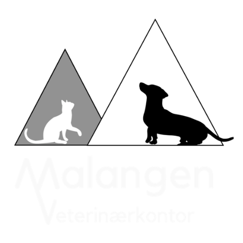 malvet logo white text