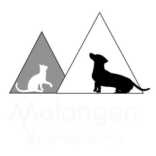 malvet logo white text